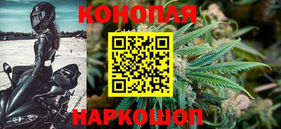 стаф Пенза