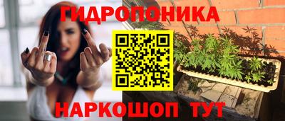 стаф Пенза