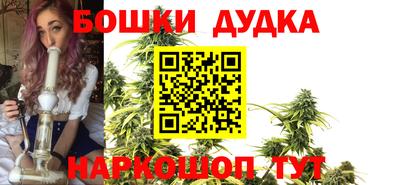 стаф Пенза