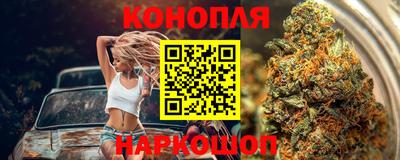 стаф Пенза